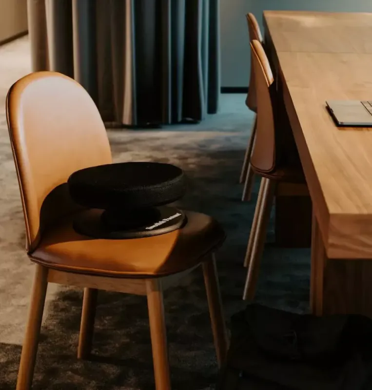 Swedish Posture ergonomisk balansepute